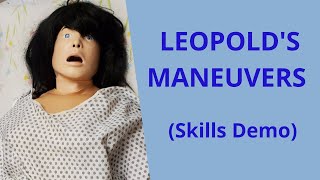 PREFORMING LEOPOLD'S MANEUVERS | SKILLS DEMO