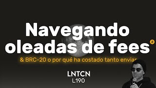 Comisiones al rojo & BRC20  ¿Qué ha pasado y cómo pagar menos en nuestros envíos de bitcoin?