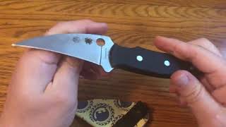 1 Minute Overview: Spyderco Reverse