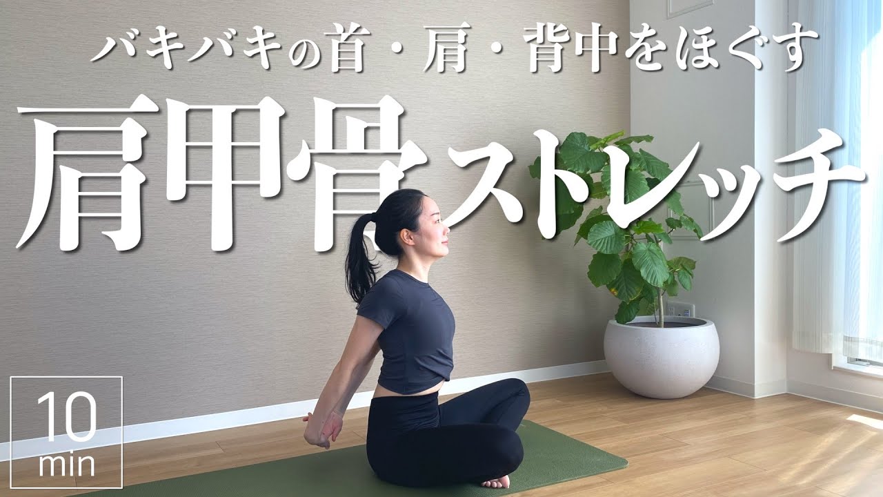 【肩甲骨】バキバキの首・肩・背中をほぐす肩甲骨ストレッチ - YouTube