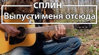Как играть Сплин - Выпусти меня отсюда. Урок на гитаре для начинающих, разбор Сплин Как играть Сплин - Выпусти меня отсюда. Урок на гитаре для начинающих, разбор Сплин