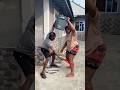 Worshipmusic Music Dance Bestshuffle Love Dancestyle Comedy Reggaedance Funny 