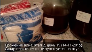 Брожение вина, этап 2 | Домашнее вино своими руками | Эпизод 6 Брожение вина, этап 2 | Домашнее вино своими руками | Эпизод 6
