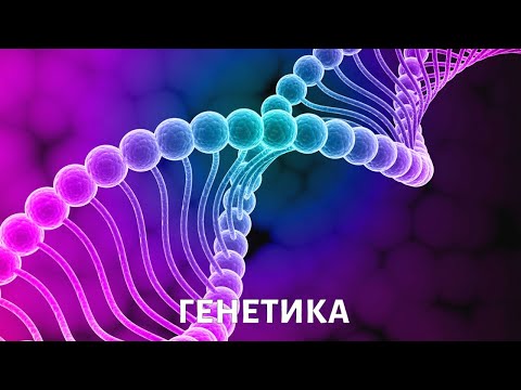 Генетика. Медицина будущего