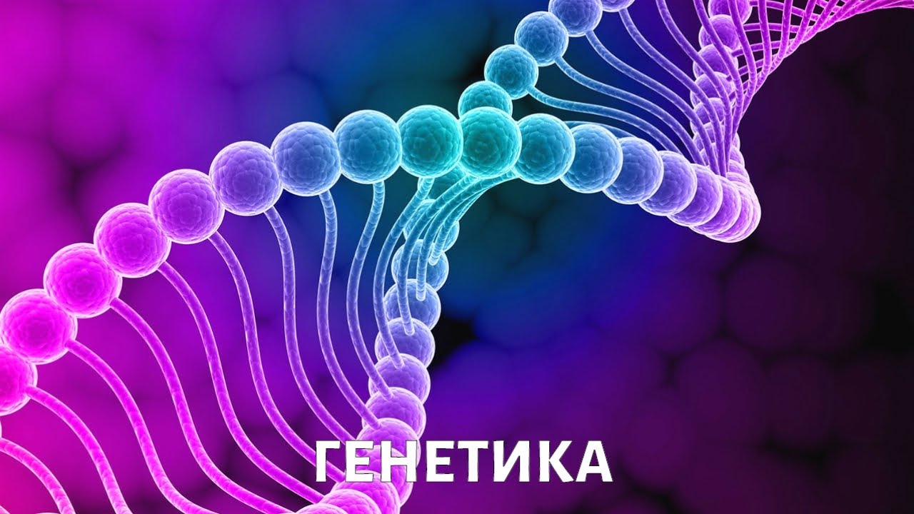 Генетика. Медицина будущего