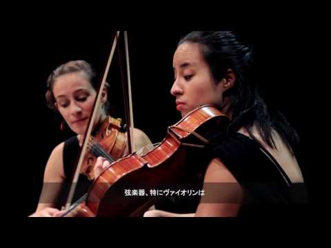 QUATUOR ARDEO （アルデオ弦楽四重奏団）