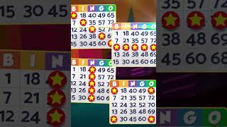 Bingo Bash - Play Now! screenshot 5