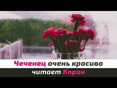 Чеченец очень красиво читает Коран | Сура Аль-Бакара, 28-61 | Ибрахим Ханиф Аш-Шишани