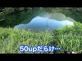 【バス釣り】初めて訪れた野池がヤバすぎた！！ の動画、YouTube動画。