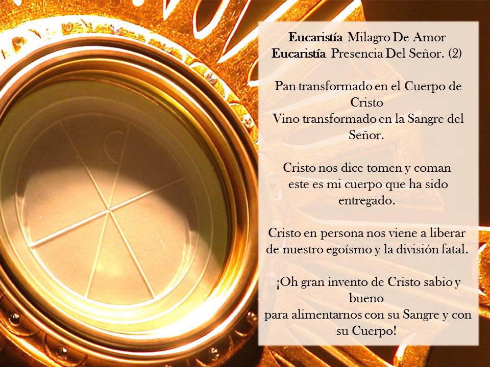 Eucaristía Milagro de Amor - Ángelus Guajira - YouTube