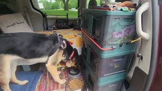 New Van Setup! #solofemalenomad #wyrdadventures #lovinglife #dogmom #peaceful