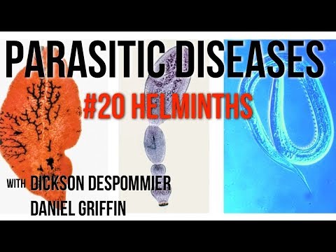 Parasitic Diseases Lectures #20: Helminths