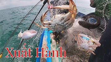 Mùng 6 Xuất Hành Chuyến Biển Đầu Năm |Câu Mực Biển Tây #140