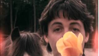 Paul McCartney & Michael Jackson - The Man (Home Movie Footage, 1981) chords