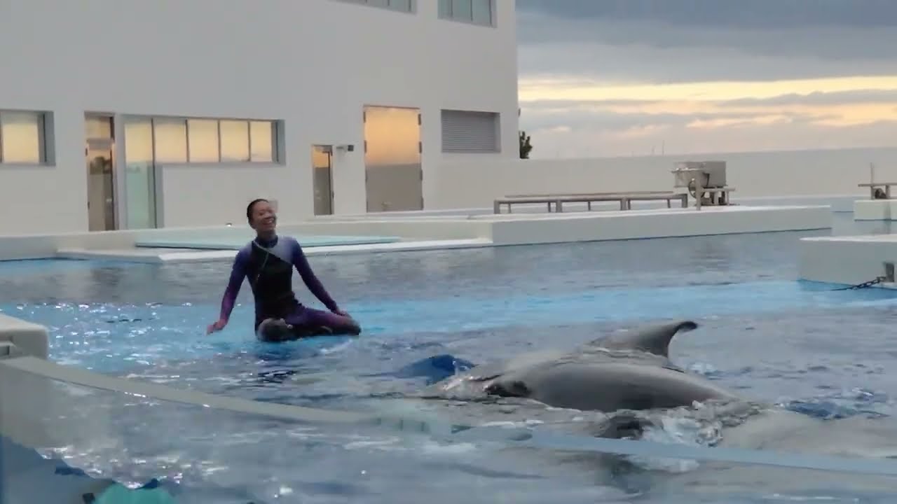 ステラとT網トレーナーに癒されて・・・