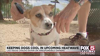 New law makes it illegal for Las Vegas pet owners to leave their dog outside, in cars on days of
