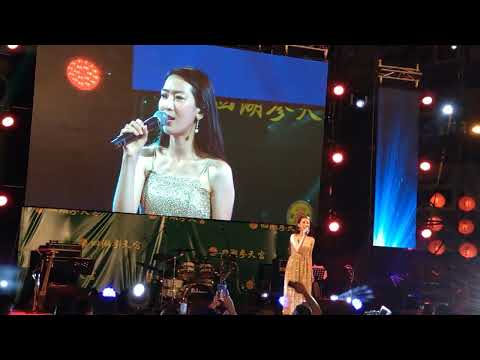 陳淑萍 - 七夜雪（民視黃金歲月片尾曲）四湖參天宮聖誕千秋晚會