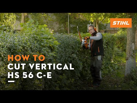 Petrol hedge trimmer cutting technique: vertical cutting with the STIHL HS 56 C-E