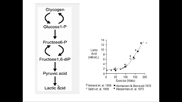 Quais os destinos do lactato no organismo?