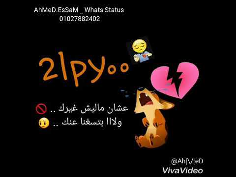 اليسا تعبت منك أجمل حالات واتس اب 