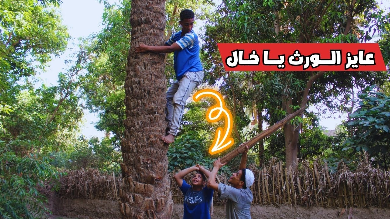 رايح يطلب ورثه شوف خاله عمل فيه اي😂😂 الظلم في الميراث