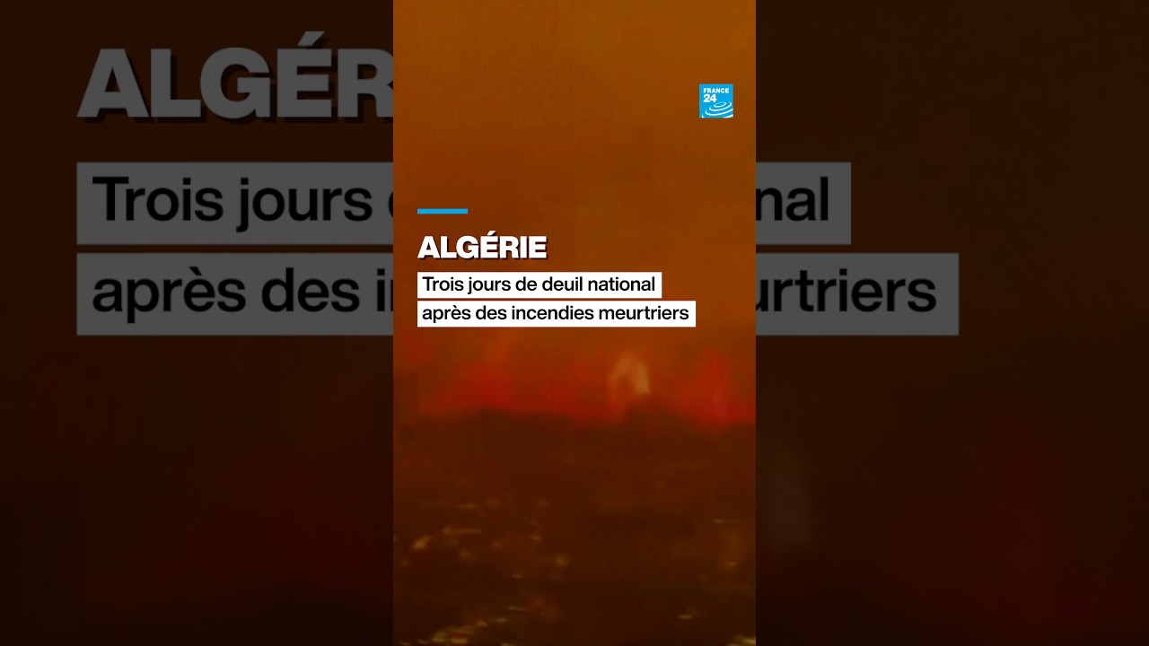 Algérie : trois jours de deuil national après des incendies meurtriers • FRANCE 24