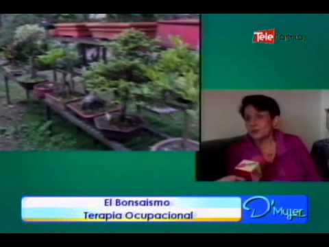 El Bonsaismo terapia ocupacional