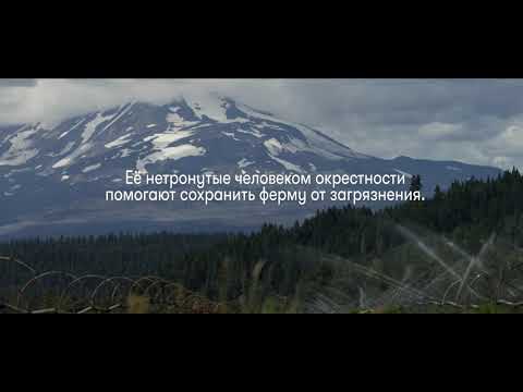 Фермы Nutrilite Траут Лейк Вест - Фермы Nutrilite Траут Лейк Вест