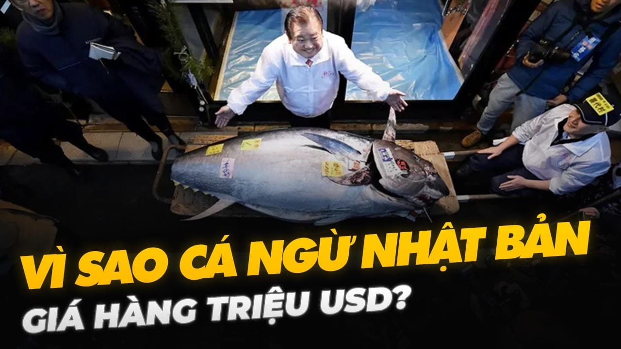 VÌ SAO CÁ NGỪ NHẬT BẢN GIÁ HÀNG TRIỆU USD?