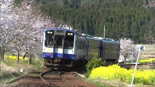 のと鉄道の桜　その5