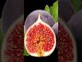Afghanistani Fig