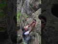 catching rare chickens in the stone forest#vidioshort #nature