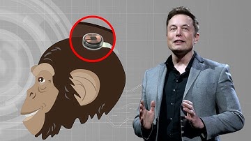Elon Musk Neuralink Monkey - Brain Computer Interface (BCI)