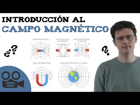 Video: ¿En hierro magnético cómo se organizan los dominios?