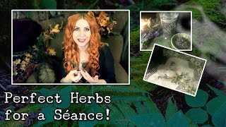 Perfect Herbs for a Séance