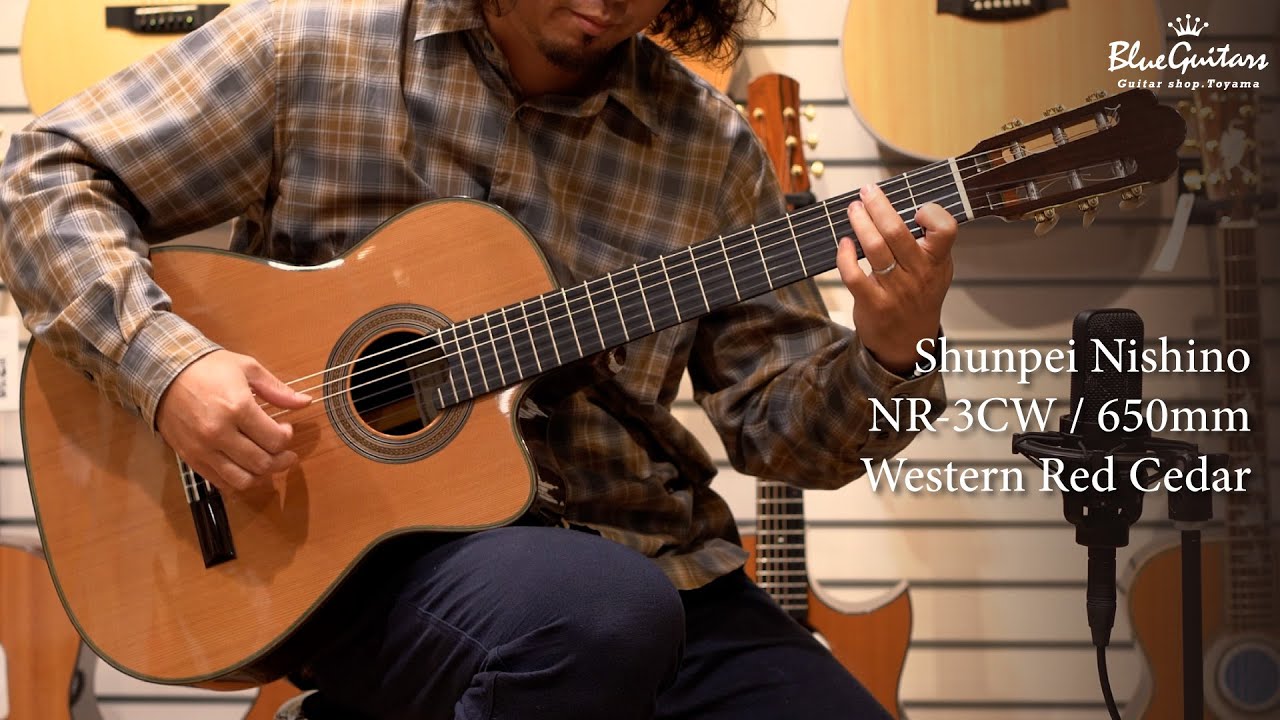Blue Guitars - Shunpei Nishino 西野春平 / NR-3CW 650mm Western Red