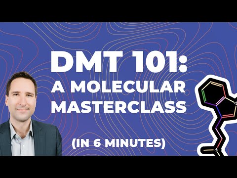 DMT 101: A