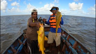 CATCHING GILBAKA IN THE ATLANTIC OCEAN #GUYANA FISHING   ARD#364