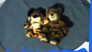 View interpolation example 1