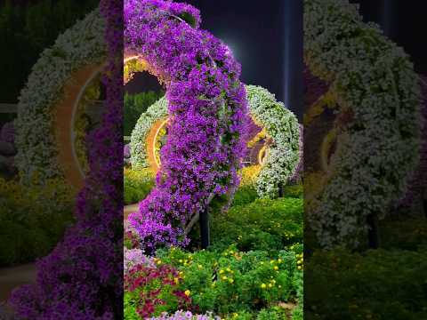 Dubai Miracle Garden🇦🇪 #dubai #uae #travel #miraclegarden #youtubeshorts #ytshorts #shorts #trending