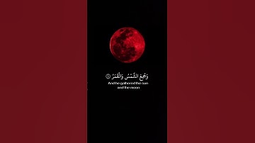 فإذا برق البصر | الآية 7 من سورة القيامة 💜