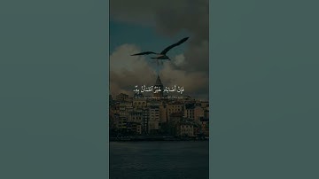 سورة الحج- القارئ محمد صديق المنشاوي