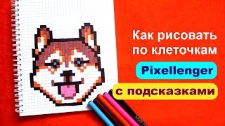 Как рисовать Собаку Хаски по клеточкам Пиксель арт How to Draw Dog Husky Pixel Art