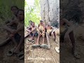 Traditional Rhythms: Tribesmen singing under the Great Baobab Tree #shorts #hadzabetribe