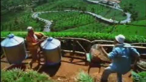 Iklan Kecap Bango -- Tukang Tahu (2004)