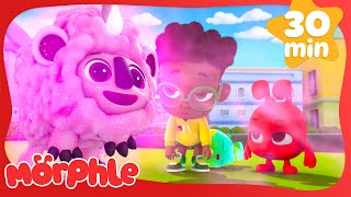 pink sheep sleeeeeep morphle fun cartoon videos kids animation