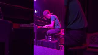 Matt Maltese Hello Black Dog 1/2