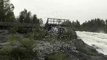 Trinity College Dublin - CS7GV5 Real Time Animation Particle System