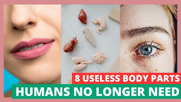 8 useless body parts that human no longer need #humanbody #humanfacts #shocking
