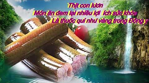 Thịt lươn Món ăn đem lại sức khỏe là thuốc quí như vàng trong Đông y